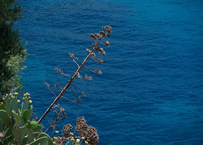 Apoplous With Pool *