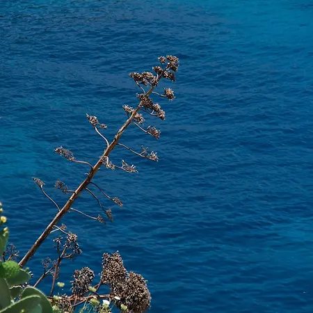 Apoplous With Pool *